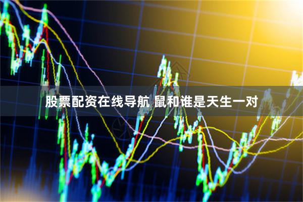 股票配资在线导航 鼠和谁是天生一对