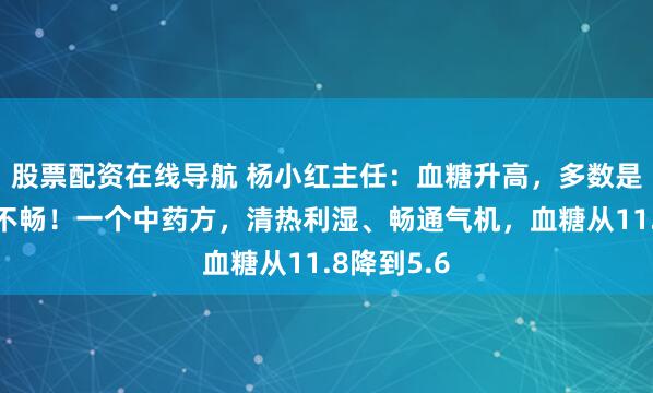 股票配资在线导航 杨小红主任：血糖升高，多数是因为气机不畅！一个中药方，清热利湿、畅通气机，血糖从11.8降到5.6